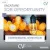 Commercieel Directeur Operations| Locatie ‘s-Hertogenbosch